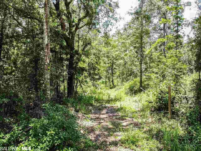 0 Pinehill Rd, Daphne, AL 36526