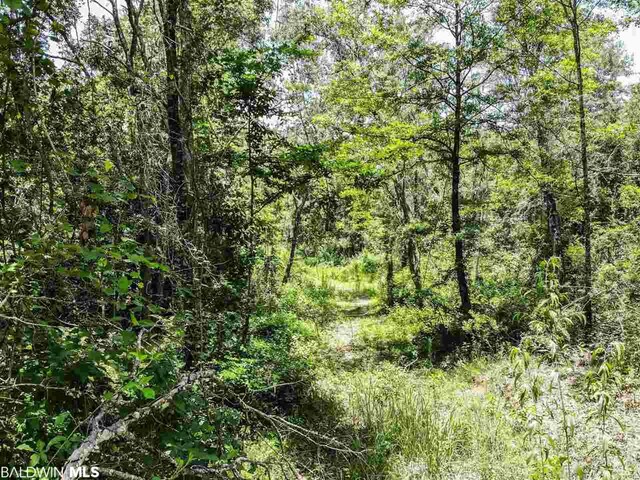0 Pinehill Rd, Daphne, AL 36526