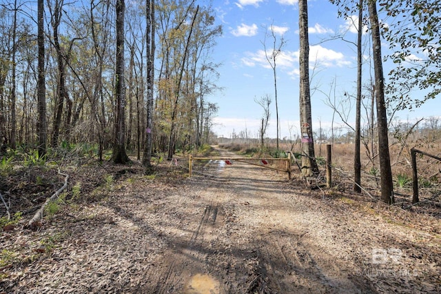 0 Bryants Landing Rd, Stockton, AL 36579