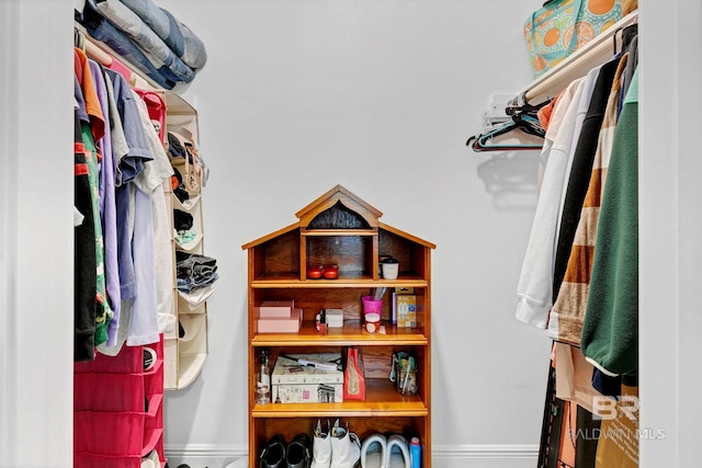 view of walk in closet