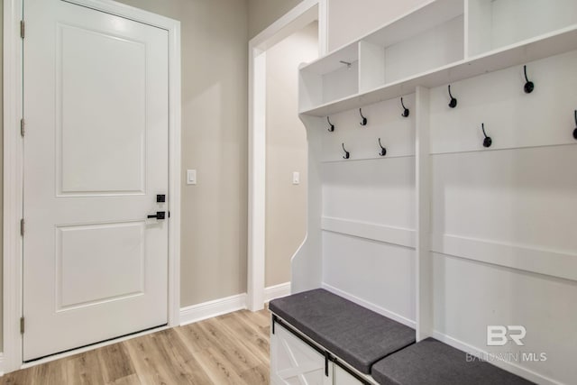 15132 Itea Dr, Foley, AL 36535 - mudroom featuring light wood-style floors and baseboards