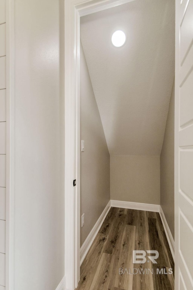 15132 Itea Dr, Foley, AL 36535 - additional living space featuring lofted ceiling and dark wood-style floors