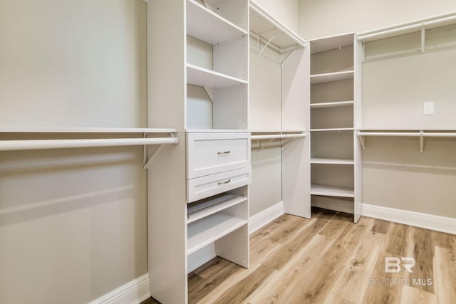 15132 Itea Dr, Foley, AL 36535 - walk in closet featuring light wood-type flooring