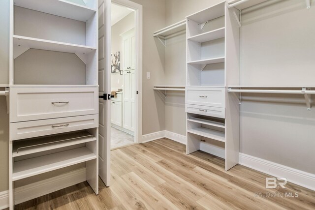 15132 Itea Dr, Foley, AL 36535 - walk in closet with light wood-type flooring