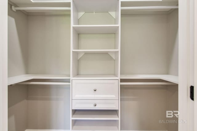 15132 Itea Dr, Foley, AL 36535 - view of walk in closet