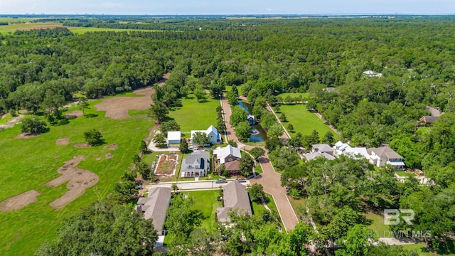 15132 Itea Dr, Foley, AL 36535 - bird's eye view of a forest