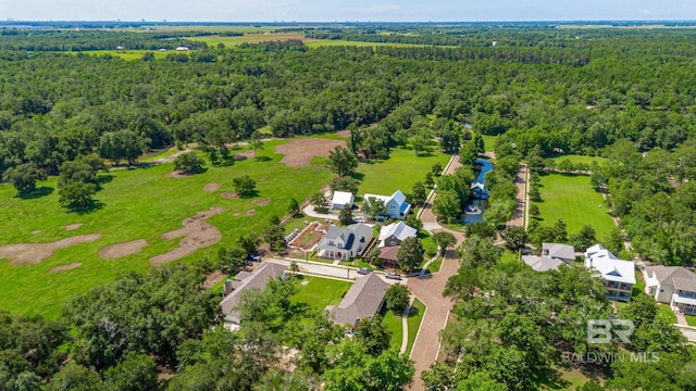 15132 Itea Dr, Foley, AL 36535 - aerial view of a heavily wooded area