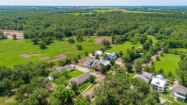15132 Itea Dr, Foley, AL 36535 - aerial perspective of suburban area with a forest