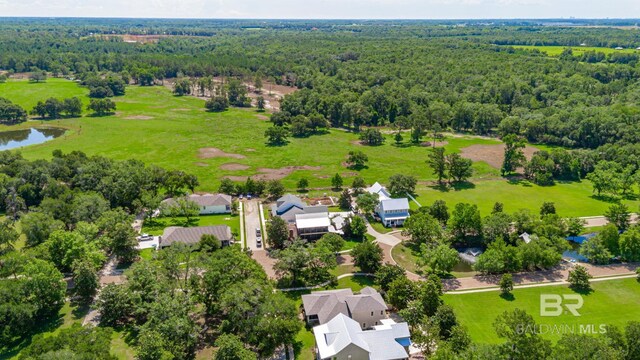 15132 Itea Dr, Foley, AL 36535 - aerial perspective of suburban area with a forest and a large body of water