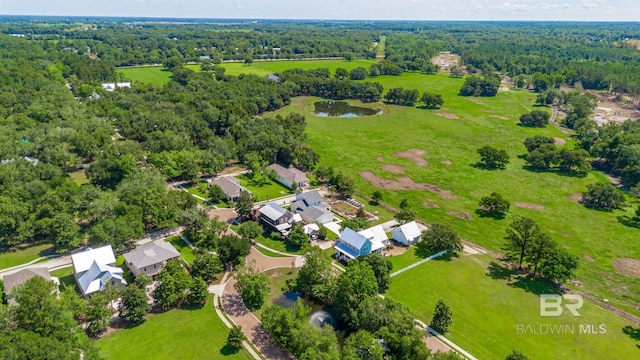 15132 Itea Dr, Foley, AL 36535 - aerial perspective of suburban area featuring a heavily wooded area and a nearby body of water