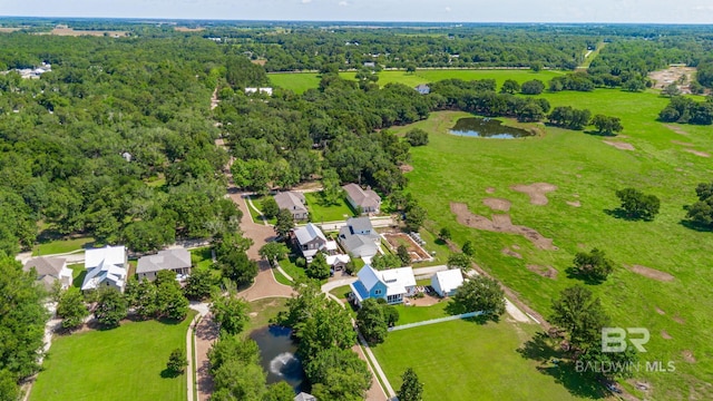 15132 Itea Dr, Foley, AL 36535 - aerial view of a nearby body of water
