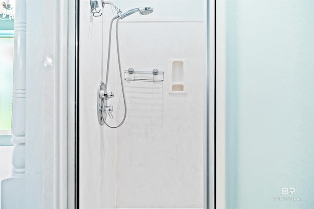 interior details with walk in shower