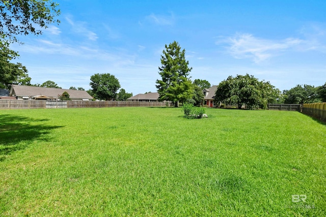 view of yard