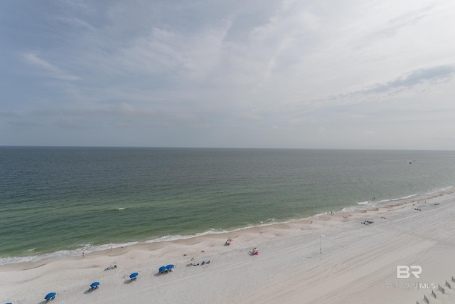 property view of water featuring a beach view