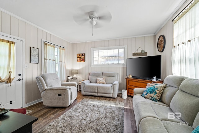 living room featuring ceiling fan, ornamental molding, and dark hardwood / wood-style flooring