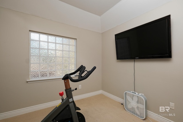 exercise room featuring carpet