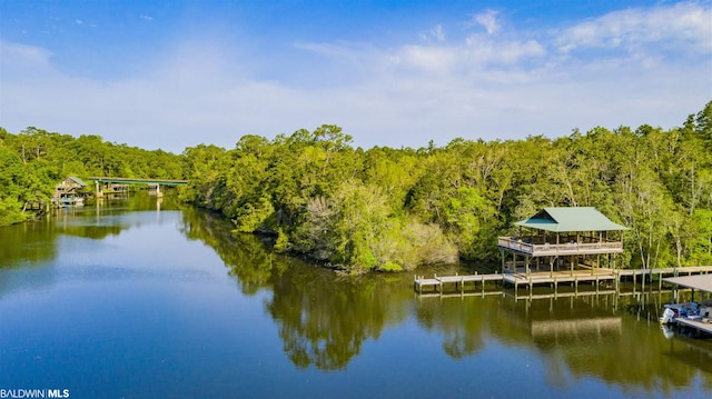 exterior space with a dock