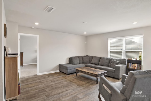 living room featuring wood-type flooring