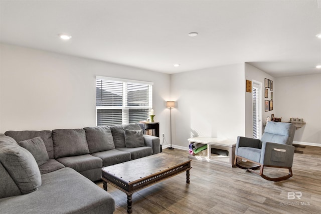 living room with hardwood / wood-style flooring