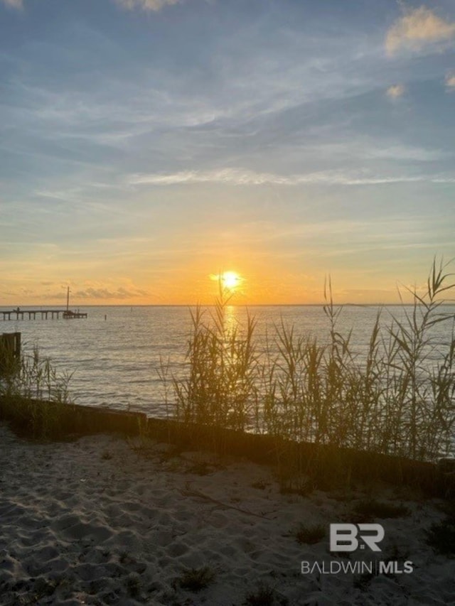 nature at dusk featuring a water view