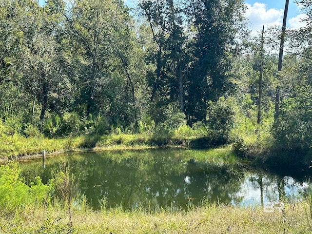 view of local wilderness with a water view