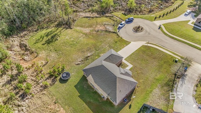 drone / aerial view