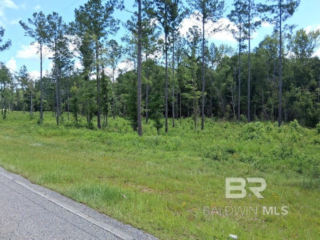 00000 Lottie Rd, Atmore, AL 36507