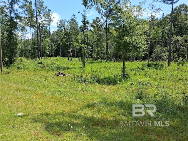 00000 Lottie Rd, Atmore, AL 36507