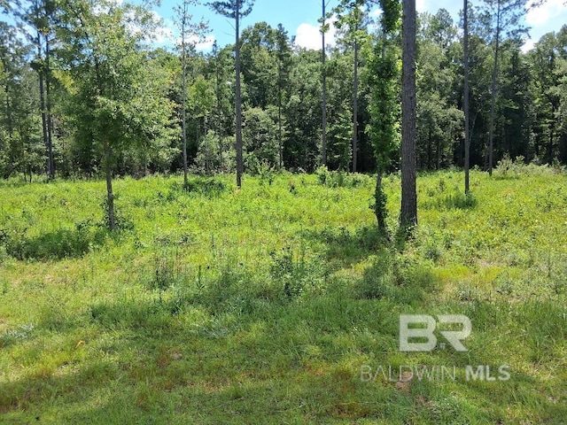00000 Lottie Rd, Atmore, AL 36507