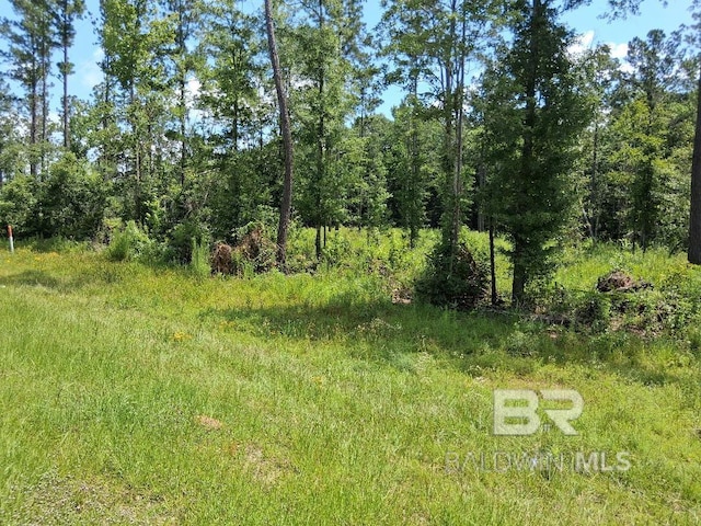 00000 Lottie Rd, Atmore, AL 36507