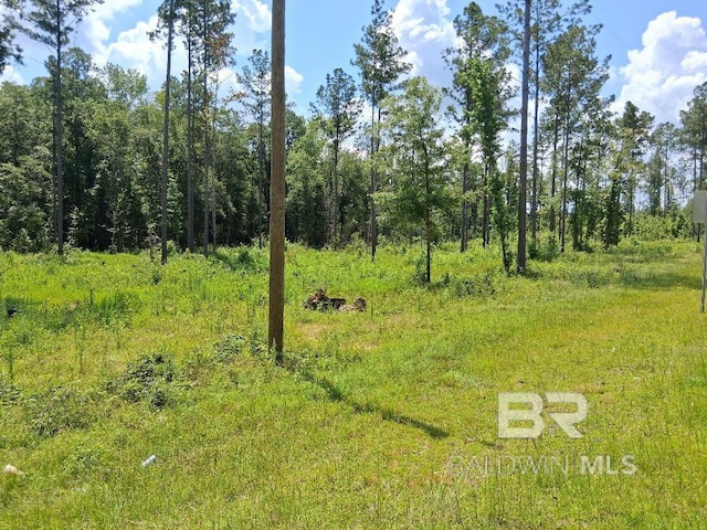 00000 Lottie Rd, Atmore, AL 36507