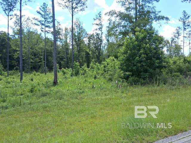 00000 Lottie Rd, Atmore, AL 36507