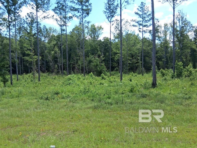 00000 Lottie Rd, Atmore, AL 36507