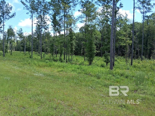 00000 Lottie Rd, Atmore, AL 36507