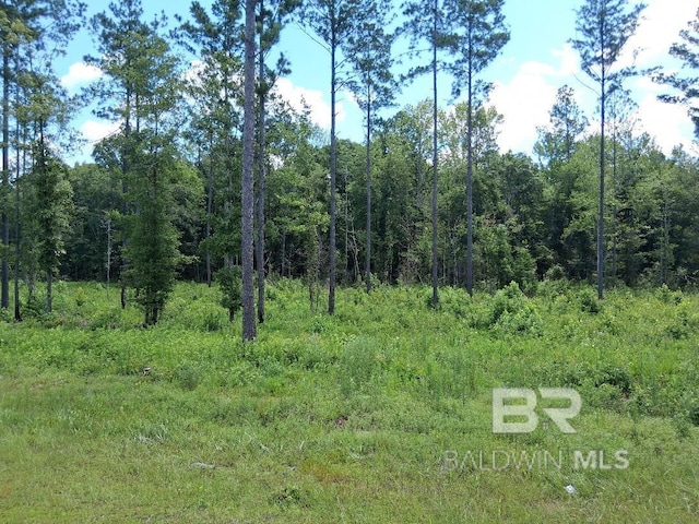 00000 Lottie Rd, Atmore, AL 36507