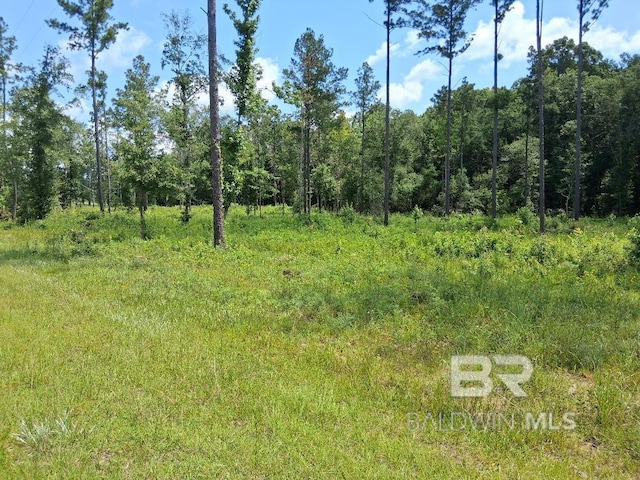00000 Lottie Rd, Atmore, AL 36507