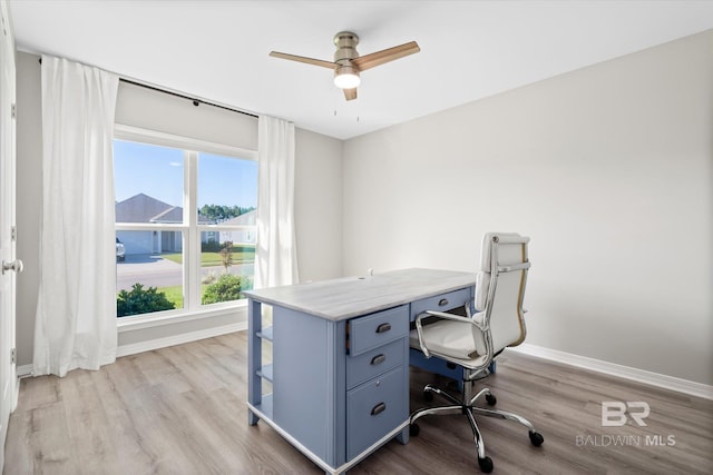 office featuring light hardwood / wood-style floors and ceiling fan