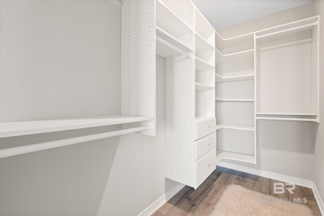 spacious closet featuring wood-type flooring