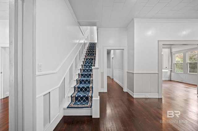 stairway featuring crown molding, wainscoting, a decorative wall, and wood finished floors