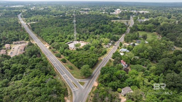 bird's eye view with a view of trees