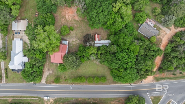 bird's eye view