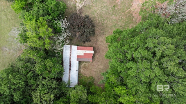 bird's eye view