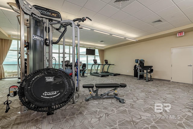 workout area featuring carpet flooring