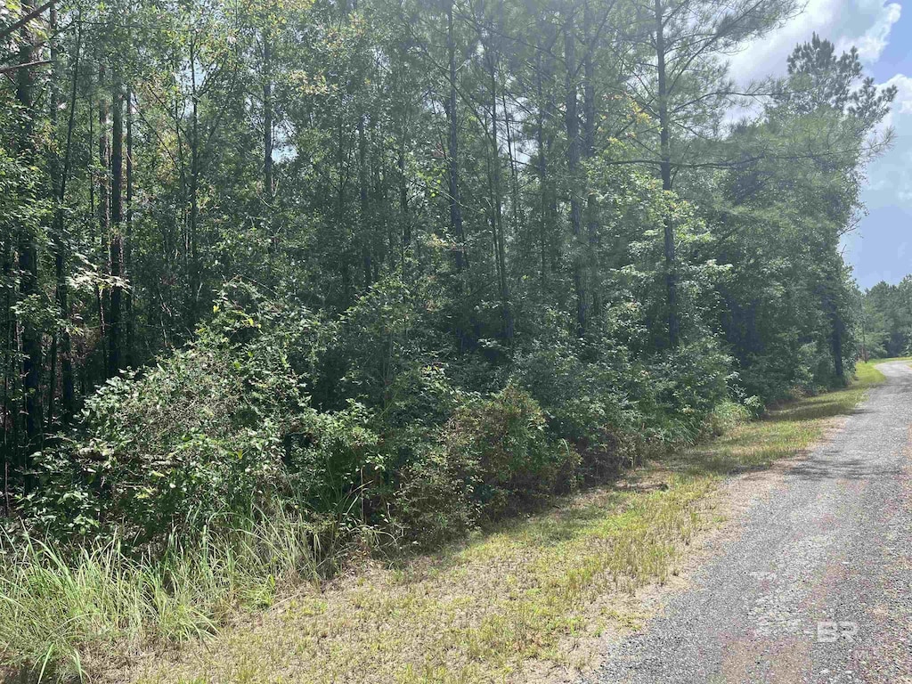 262249 Whitehouse Fork Road Ext, Bay Minette, AL 36507