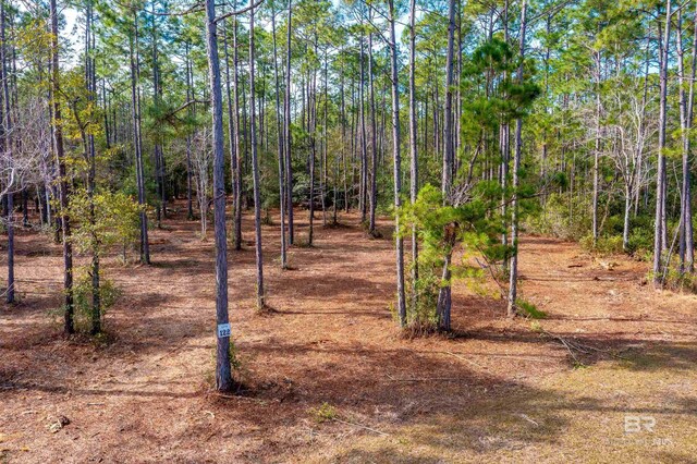 122 Millwood Dr, Gulf Shores AL, 36542 land for sale