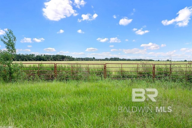 view of yard featuring a rural view
