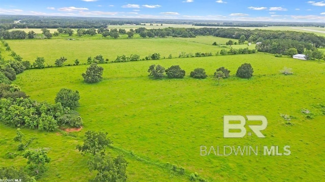 bird's eye view with a rural view