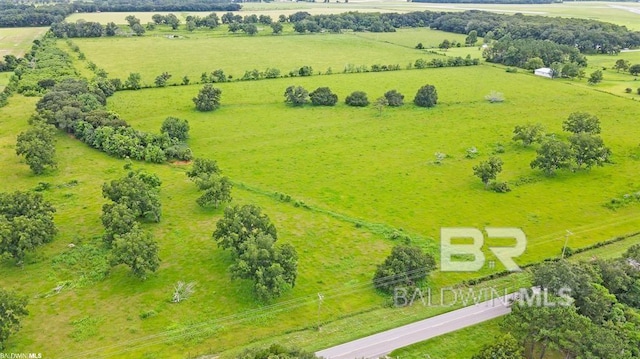 bird's eye view featuring a rural view
