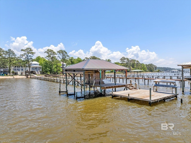 dock area featuring a water view