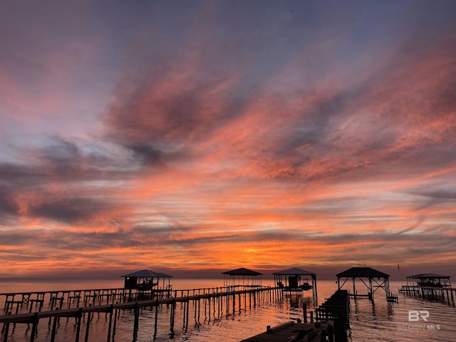 dock area featuring a water view